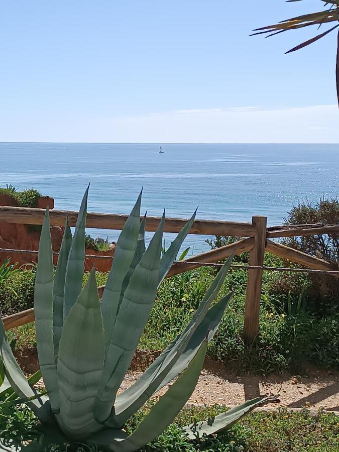 Mar A Vista Algarve Summer Портіман Екстер'єр фото